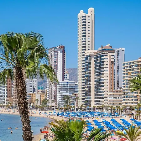 Cachirulo Deluxe 12-c Levante * Benidorm